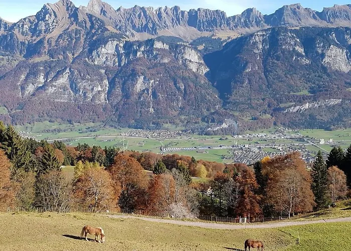 Casa de Férias Schwendihof - *