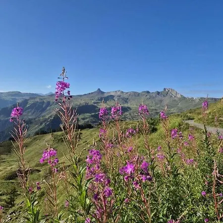 Schwendihof - Flumserberg