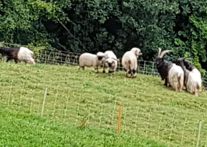 Schwendihof - Flumserberg