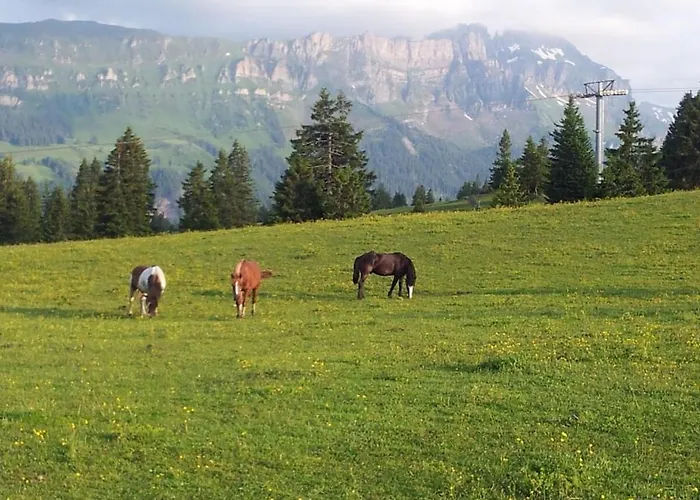 Schwendihof - Dom wakacyjny