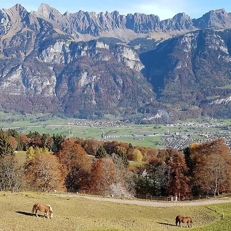 Holiday home Schwendihof - *