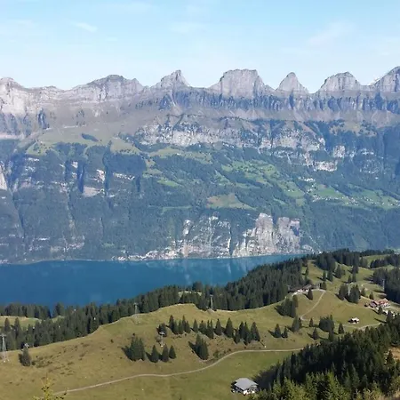 Schwendihof - *