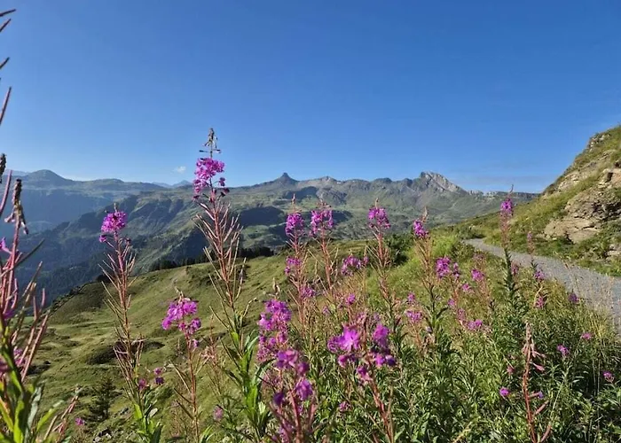 Schwendihof - Flumserberg